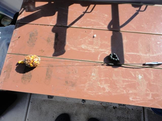 delta rosu 2011 - dsc00874.JPG